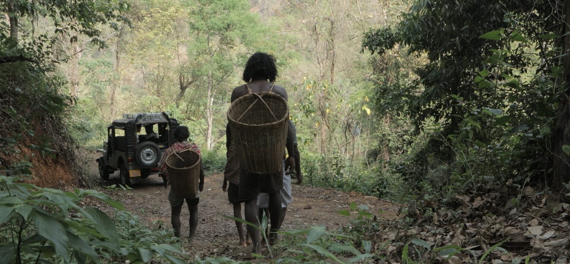 Coexistence between forest-edge communities and wildlife