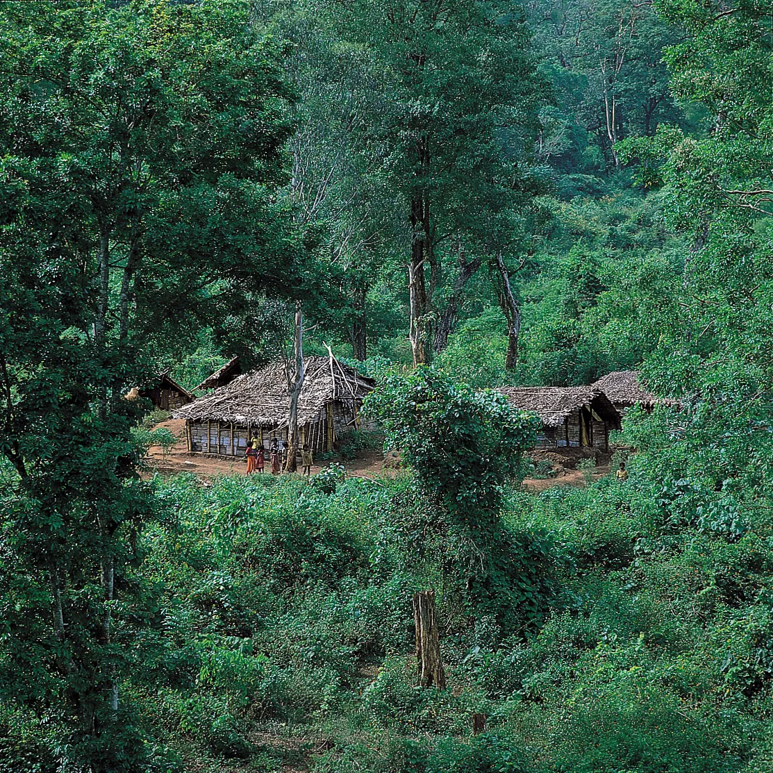 Indigenous Scheduled Tribes members who serve as the traditional guardians of the Western Ghats