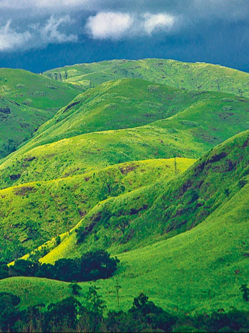 A successfully restored forest landscape in the Western Ghats restoration project area